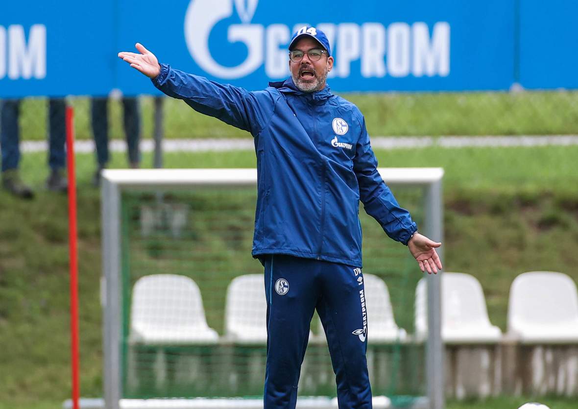 1. bundesliga, schalke 04, david wagner David Wagner